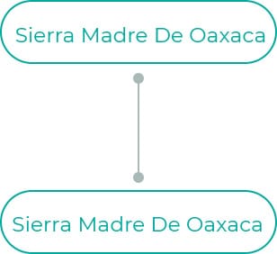 Sierra-Madre-De-Oaxaca