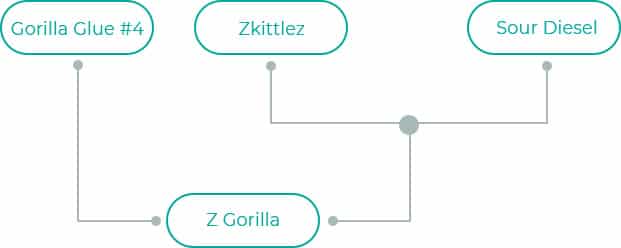 Z-Gorilla