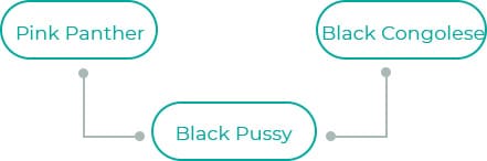 Black-Pussy