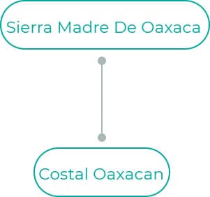 Costal-Oaxacan