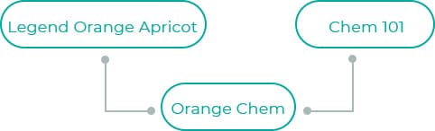 Orange-Chem