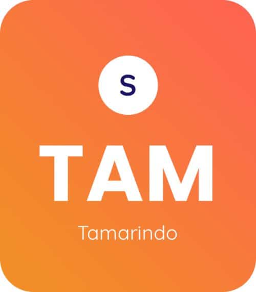 Tamarindo-1
